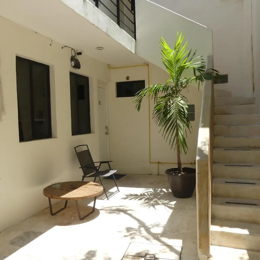 Estudios 14 Bis Playa del Carmen Daire